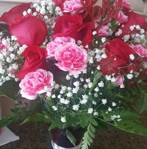 Meet your Posher, Nima aden